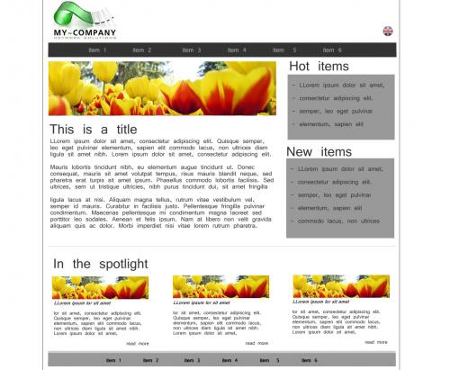 Diseño del sitio web